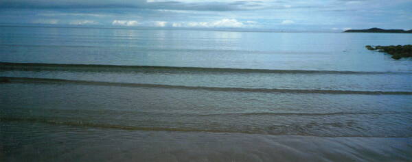 Ann Wegmuller Artist Sketchbook